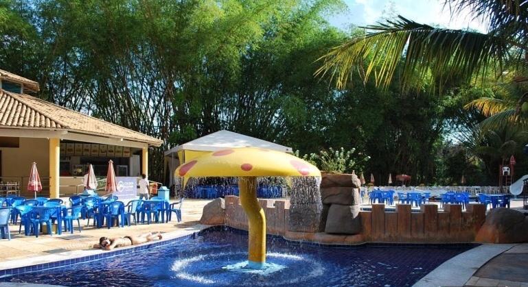 Golden Dolphin Express - Aguas Termais 24h *